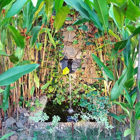Rock Forest Goa Honeymoon Cottages Calangute Εξωτερικό φωτογραφία