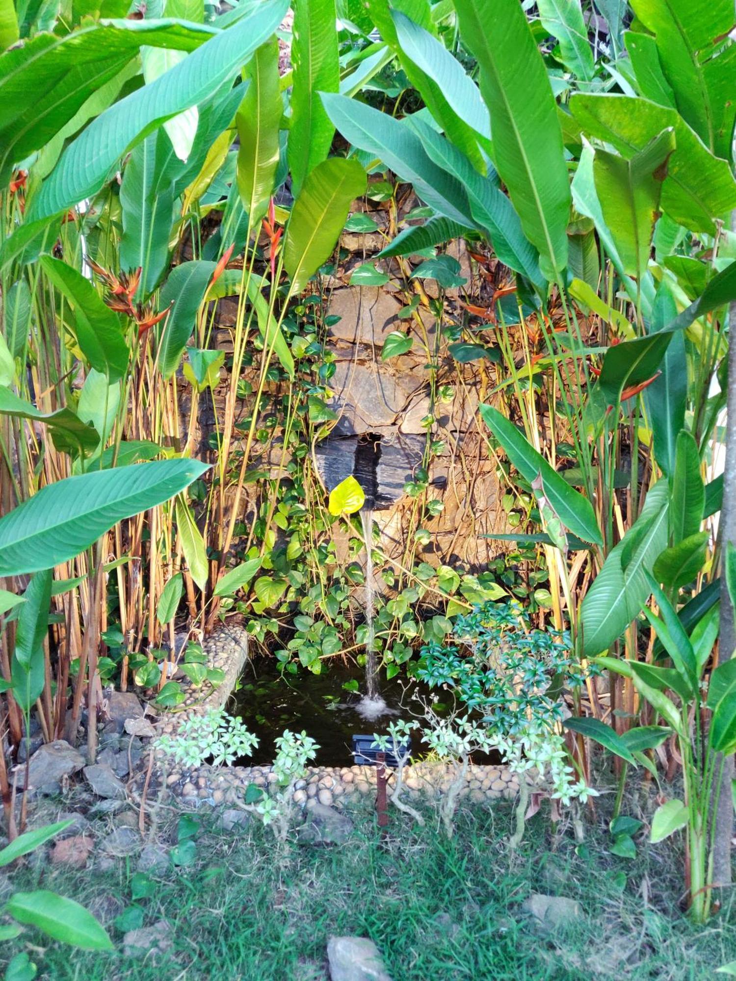 Rock Forest Goa Honeymoon Cottages Calangute Εξωτερικό φωτογραφία