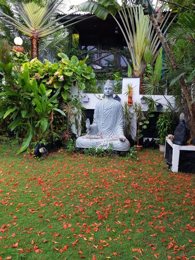 Rock Forest Goa Honeymoon Cottages Calangute Εξωτερικό φωτογραφία